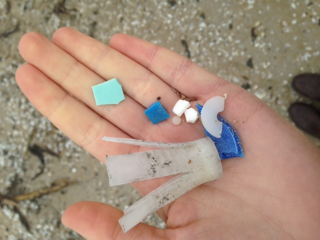 beach garbage 2