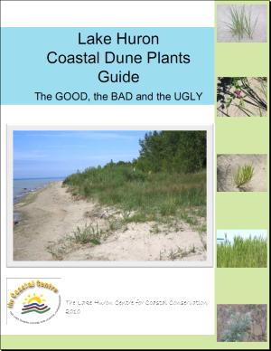 lake_huron_coastal_dune_plants 2